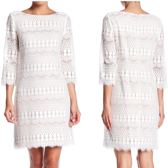 Eliza J Dresses & Skirts - Eliza J 3/4 Length Sleeve Lace Shift Dress ivory 6